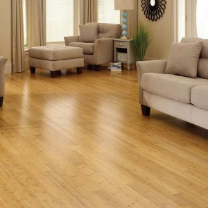 Click Horizontal Bamboo Flooring