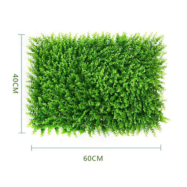Main-grass--(4)
