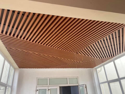 PVC-CEILING